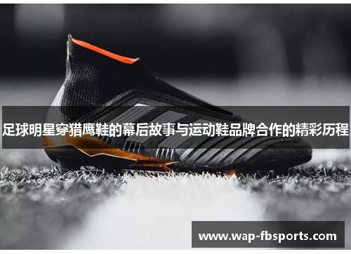 足球明星穿猎鹰鞋的幕后故事与运动鞋品牌合作的精彩历程